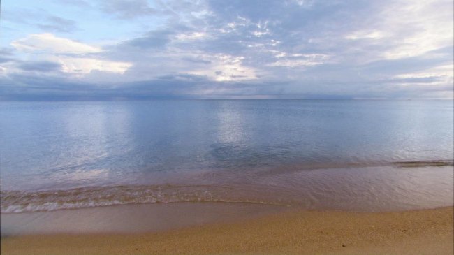 蓝天下微风拂过的海边实拍视频动态素材模板下