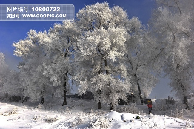 吉林雪乡图片素材(图片编号:10800722)_村庄图