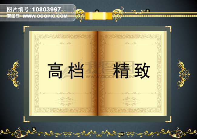 欧式高档精致金色花纹书籍下载