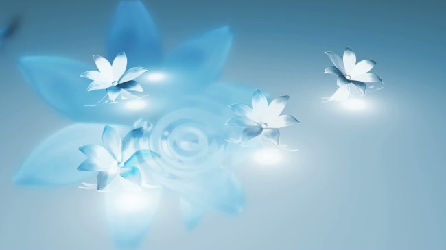 <em>唯美</em>背景<em>动态</em>视频素材模板下载(<em>图片</em>编号:108