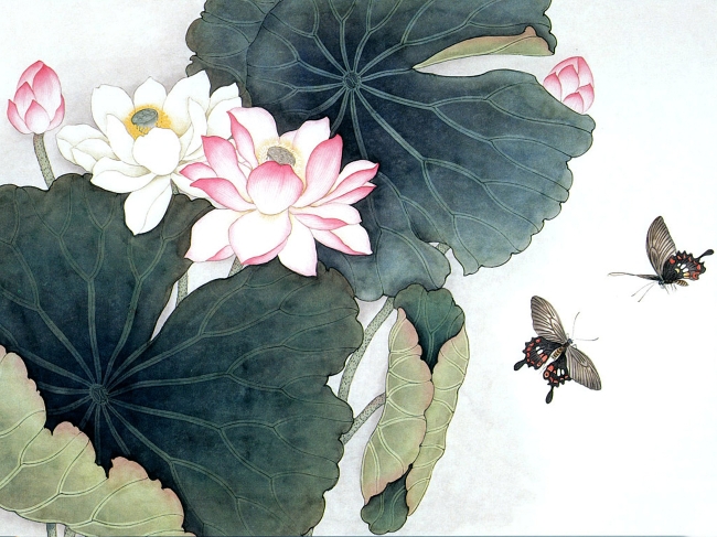 插画 佛画 古韵 古风 古典 线描 莲花 睡莲 荷叶 残荷 白莲 红莲 国画图片