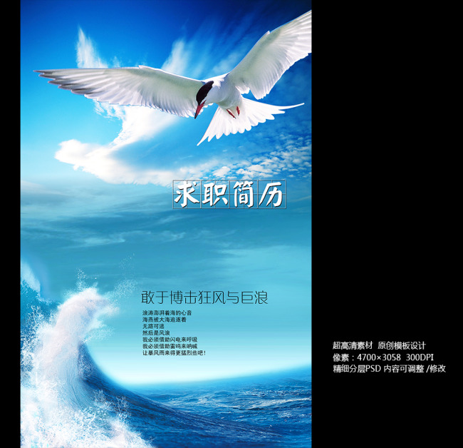 个人求职简历精美创意封面模板图片