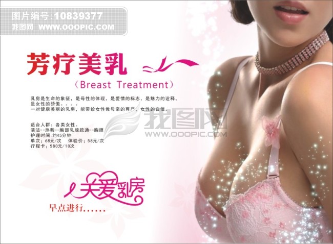 美容院美容美体项目流程册模板下载(图片编号