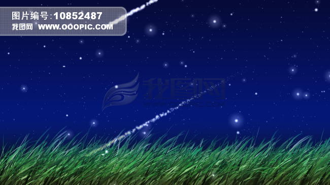 夜晚草地流星雨效果 1080P模板下载(图片编号