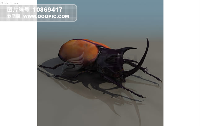 天牛昆虫3d模型