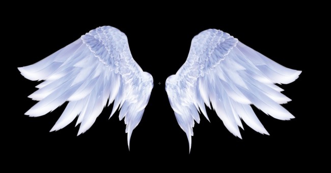 天使的翅膀AE源文件1080P模板下载(图片编号
