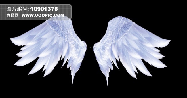 天使的翅膀AE源文件1080P模板下载(图片编号