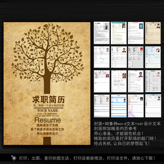 简历模板模板下载(图片编号:10904730)_求职|