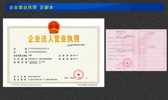 营业执照 税务登记证模板下载(图片编号:10937037)图片