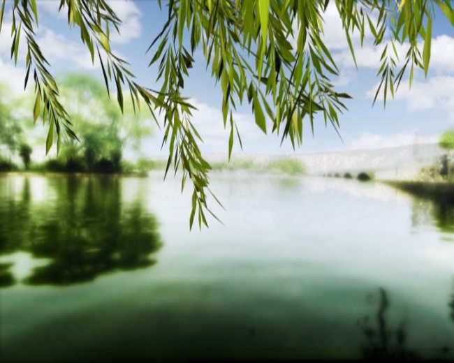 春风绿柳树河岸舞台视频素材模板下载(图片编号:10956300)_动态|特效|背景视频素材_视频素材|AE模版|片头片尾_我图网weili.ooopic.com