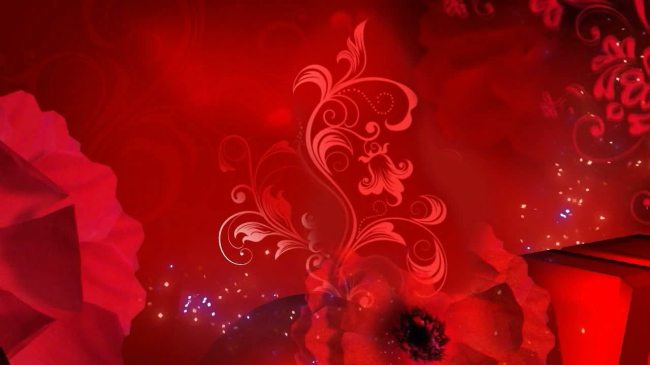 大气的花纹生长婚庆片头素材模板下载(图片编号:10962312)_片头片尾_视频素材|AE模版|片头片尾_我图网weili.ooopic.com