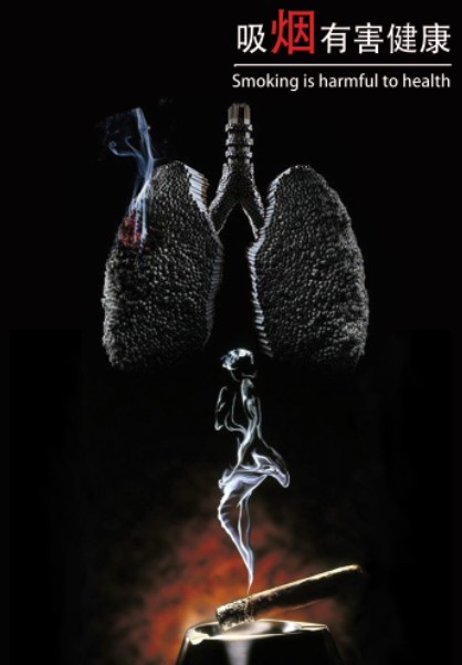 吸烟的肺模板下载(图片编号:10964276)