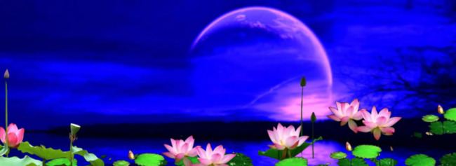 荷塘月色歌曲伴奏配景中秋月圆高清视频模板下