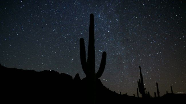 繁星夜空闪电划过植物背影高清视频素材模板下