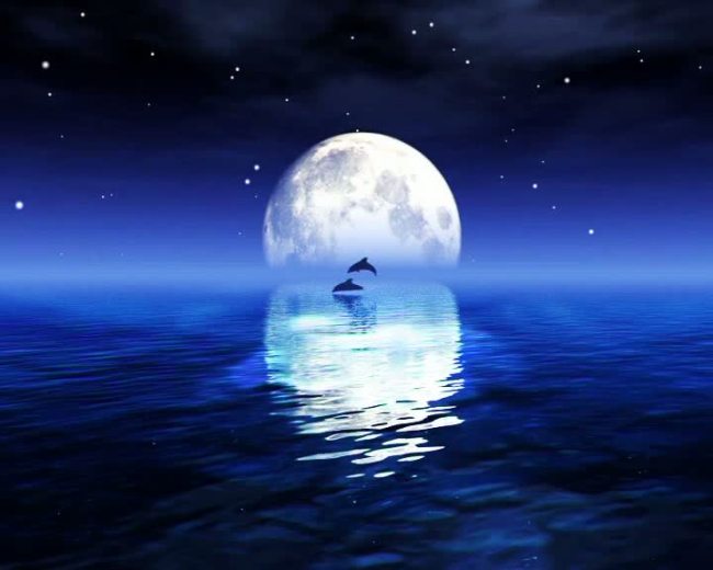 十五的月亮模板下载(图片编号:11081153)_LE