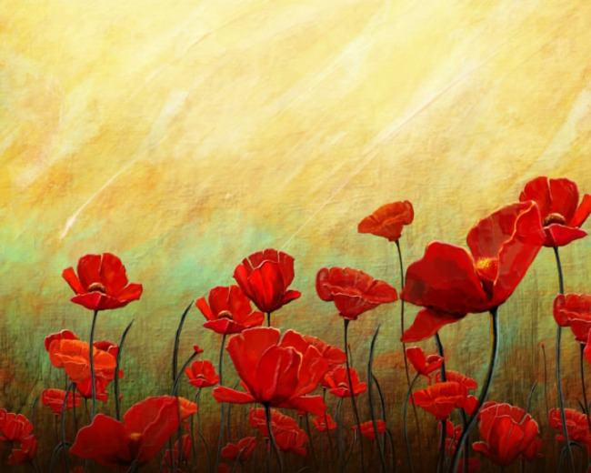 花开动态视频素材下载