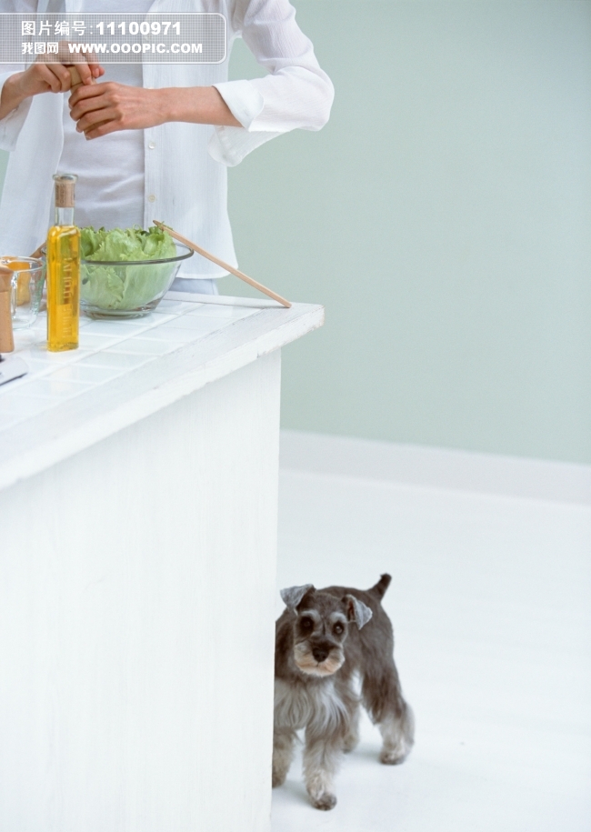 <em>女人</em>和<em>狗</em>女孩生活照图片素材(图片编号:11100