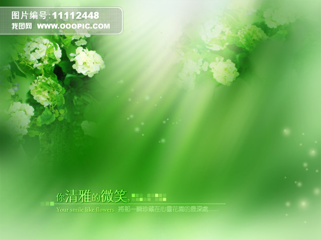 玫瑰花背景图片淡雅 玫瑰花背景图片淡雅
