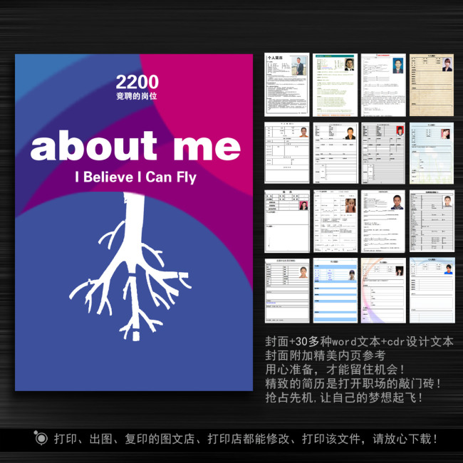 www.shanpow.com_外企求职简历。