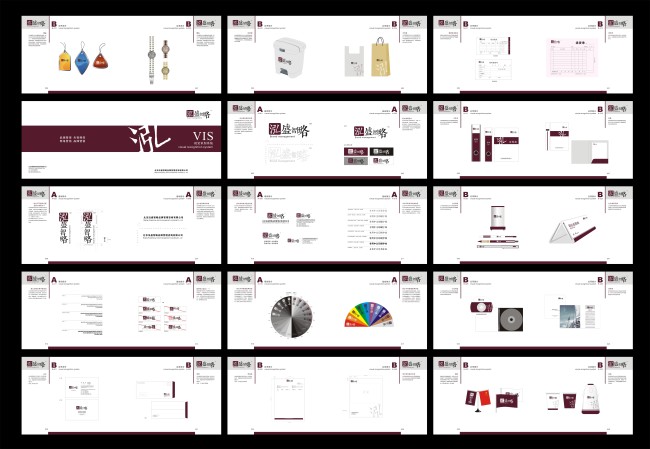 品牌管理咨询公司VI系统设计方案模板下载(图