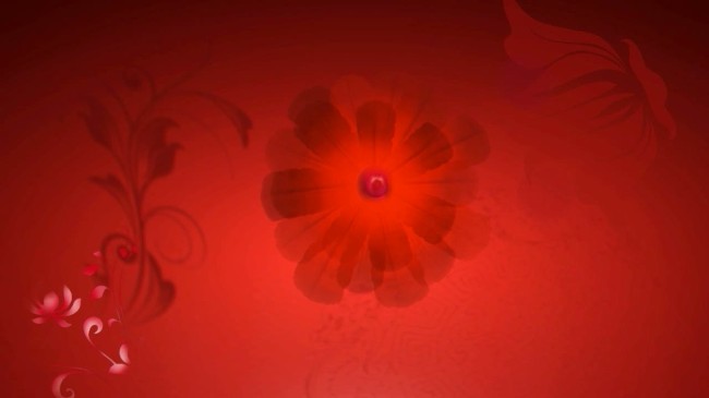 中国红花纹生长粒子光影视频模板下载(图片编