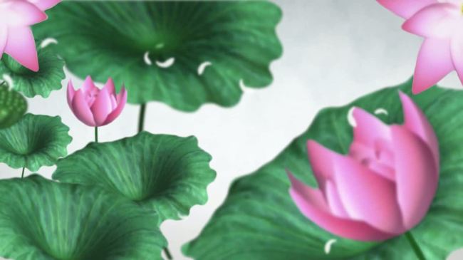 Led大屏幕荷花水墨画视频素材下载模板下载(图