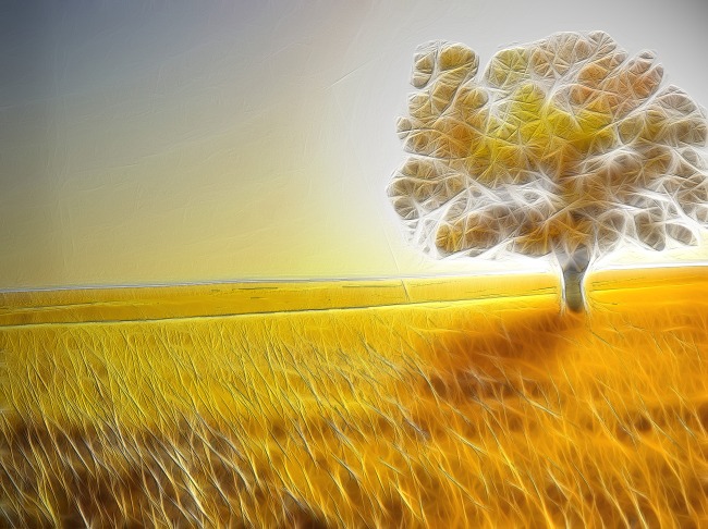 客厅树木金属装饰画模板下载(图片编号:11265870)_装饰画_室内装饰|无框画|背景墙_我图网weili.ooopic.com