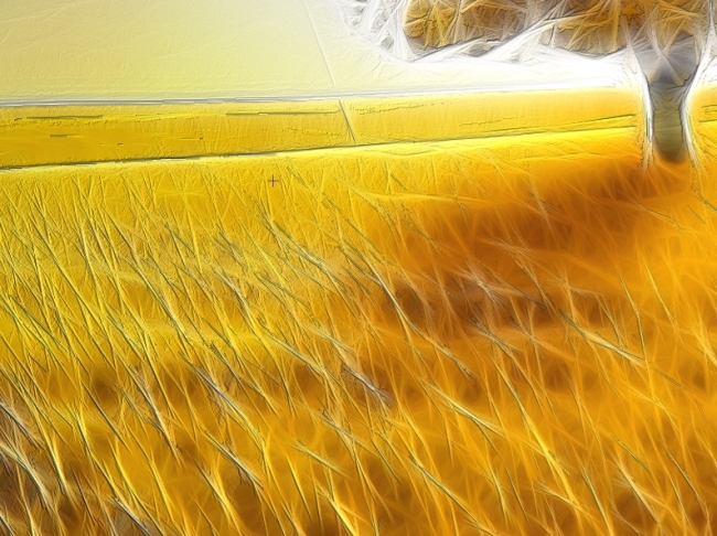 客厅树木金属装饰画模板下载(图片编号:11265870)_装饰画_室内装饰|无框画|背景墙_我图网weili.ooopic.com