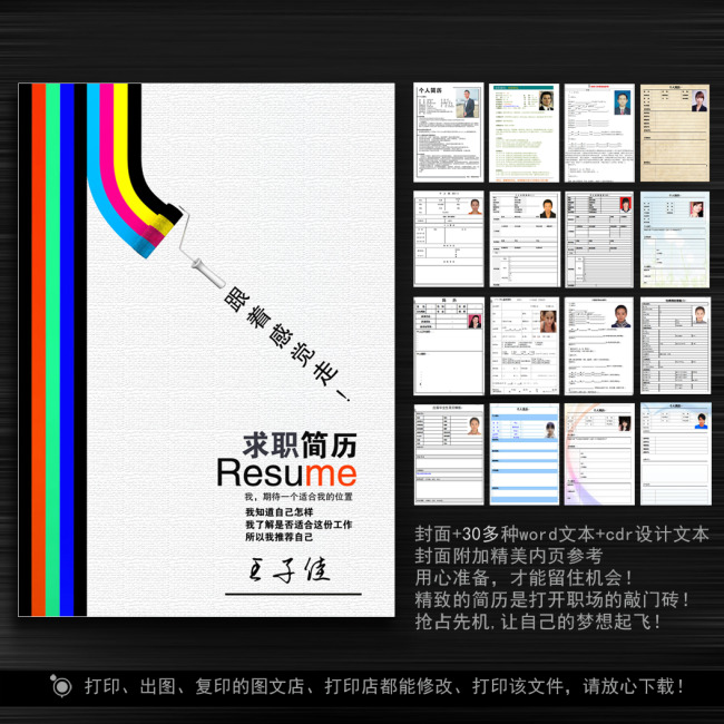 个人创意简历模板模板下载(图片编号:11291471)图片