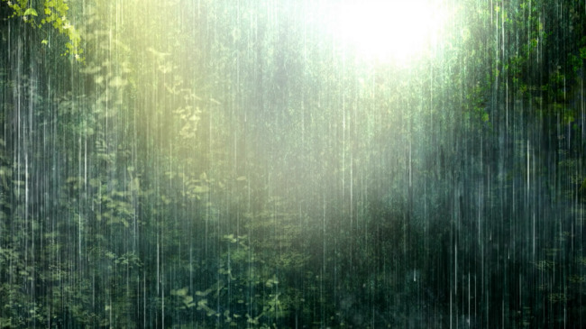 高清视频雨季热带雨林模板下载(图片编号:11301823)_LED视频素材_视频素材|AE模版|片头片尾_我图网weili.ooopic.com