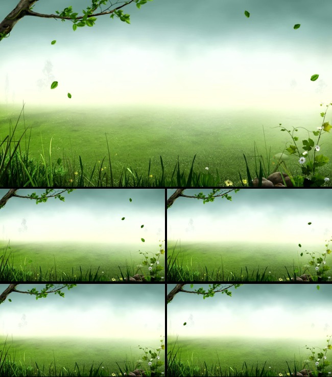 绿色草地树叶飘落舞台高清动态背景视频模板下