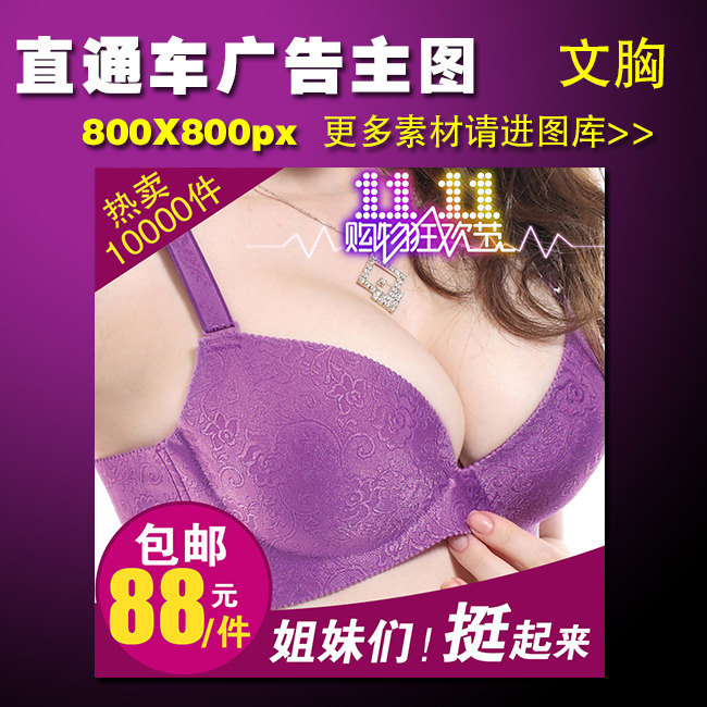 天猫内衣<em>文胸</em>直通车<em>促销广告</em>主图模板模板下载