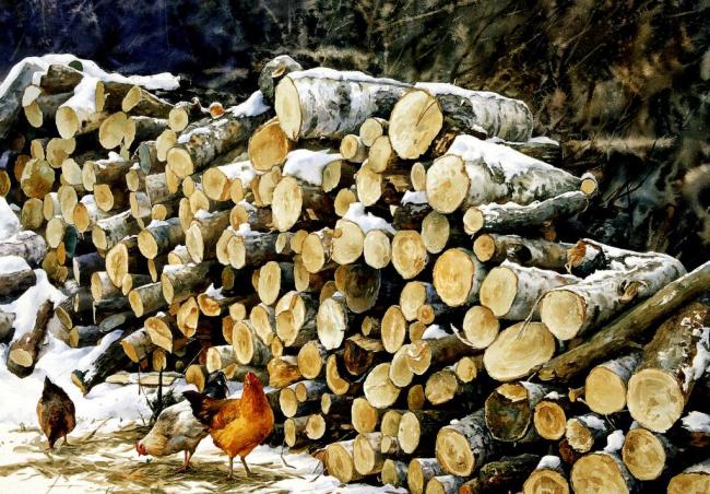 木柴图片模板下载(图片编号:11345762)_其他油