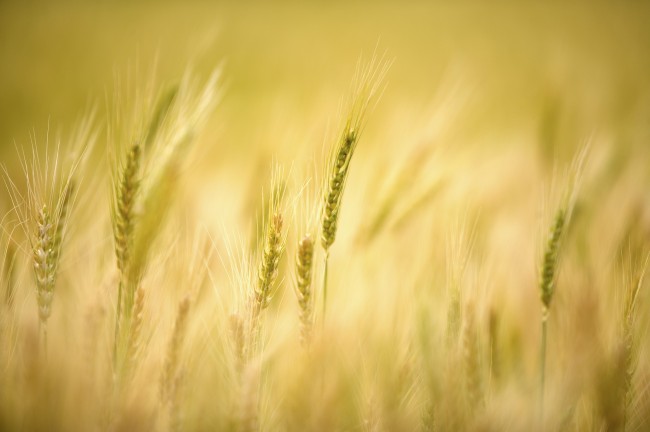 当前位置:唯美意境高清图片相关图片 -></p></a>