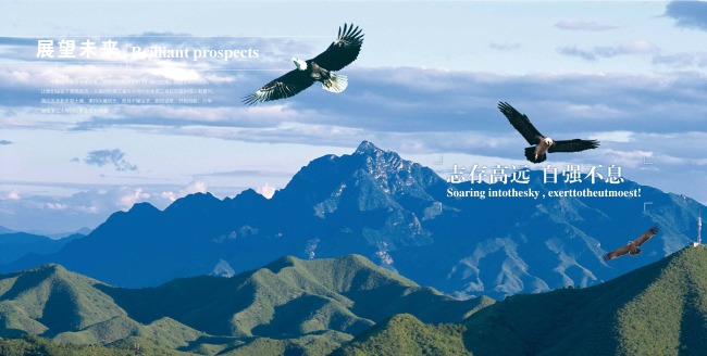 展板志存高远展望未来模板下载(图片编号:113