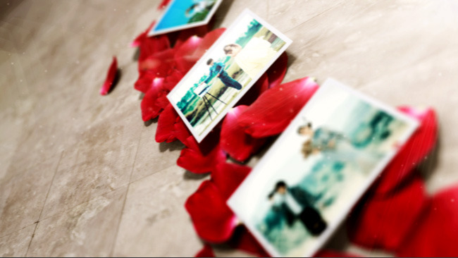 玫瑰花瓣浪漫婚礼相册模板模板下载(图片编号