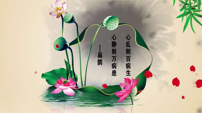 中医养生栏目<em>ae</em>片头<em>模板模板下载</em>(<em>图片</em>编号:1