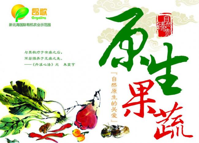 中国风蔬菜包装设计图片模板下载(图片编号:1