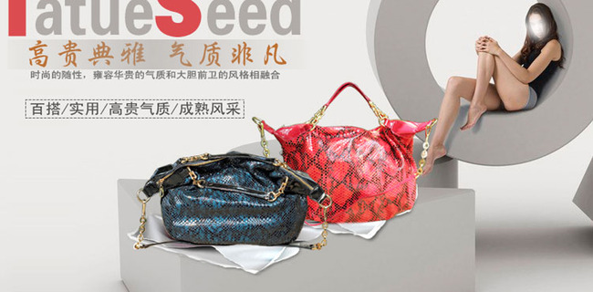 淘宝<em>天猫</em>女包<em>女装</em>鞋子促销海报模板下载(图片