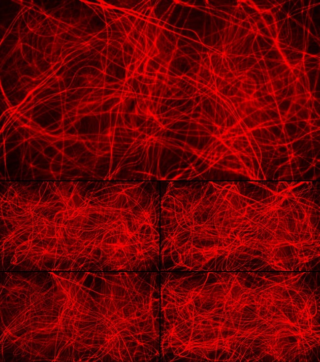 红色光线扰动LED动态视频素材模板下载(图片