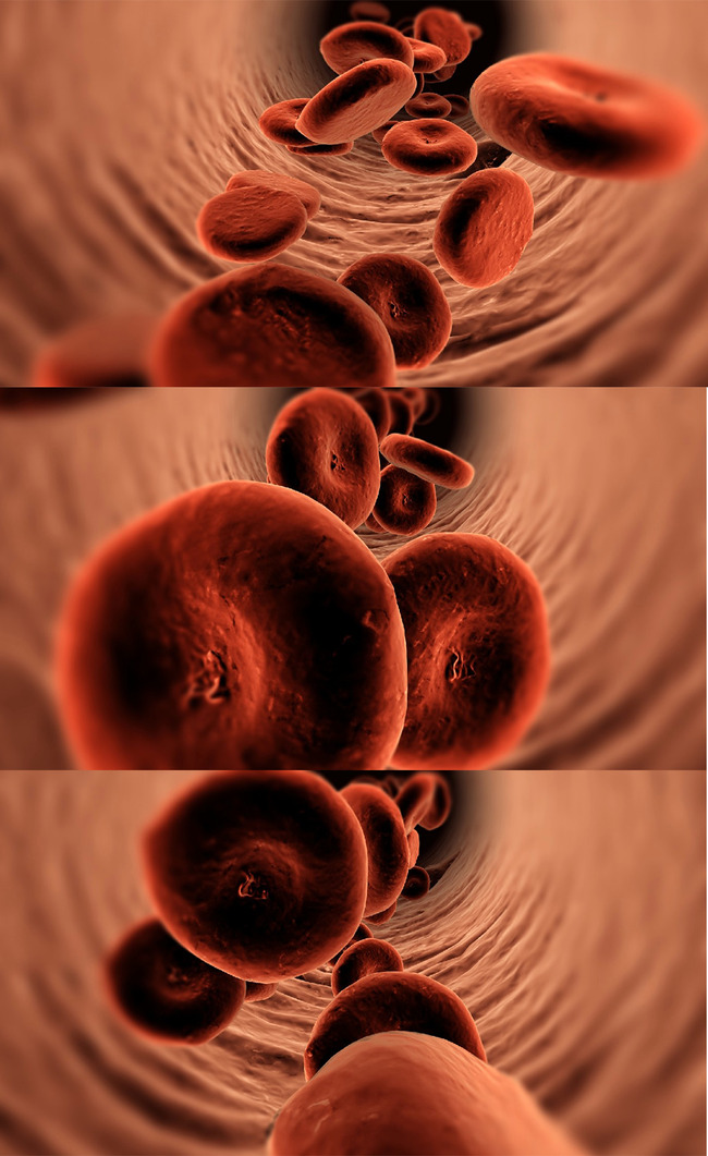 红细胞在血管流动医疗动画模拟视频素材模板下
