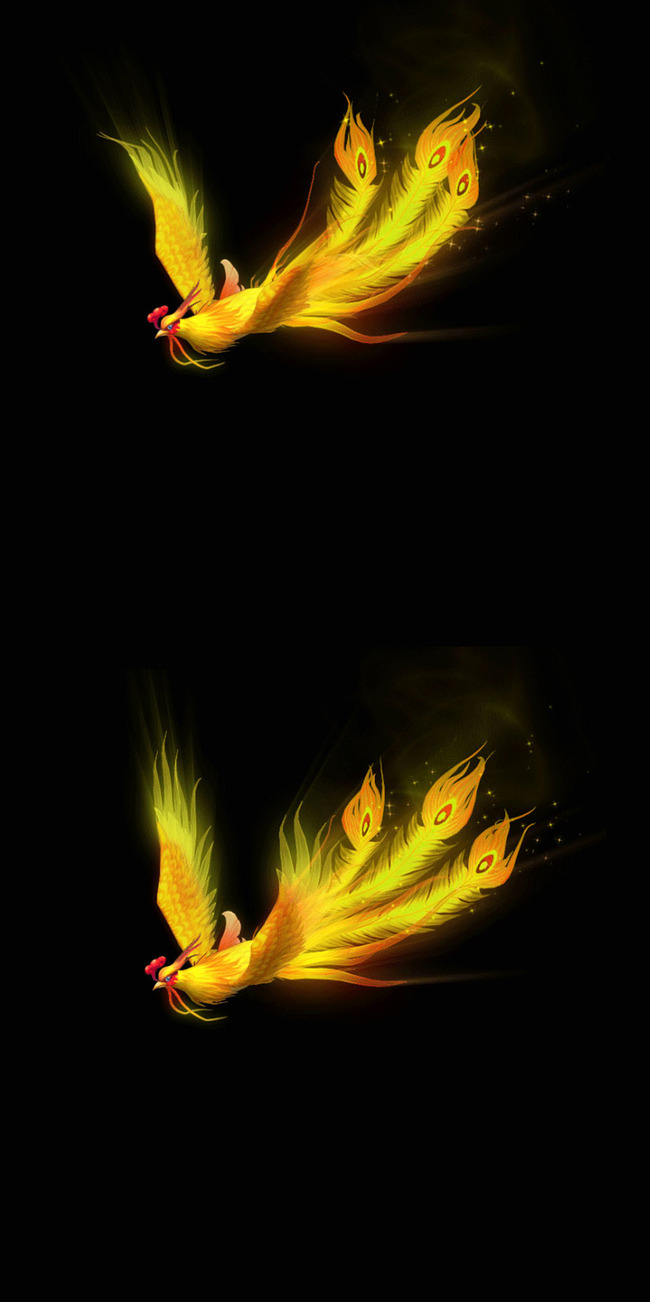 凤凰飞翔凤凰模板下载模板下载(图片编号:116