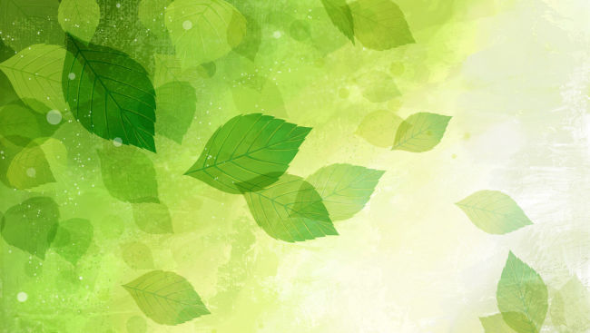 绿叶模板下载(图片编号:11712477)__背景图片