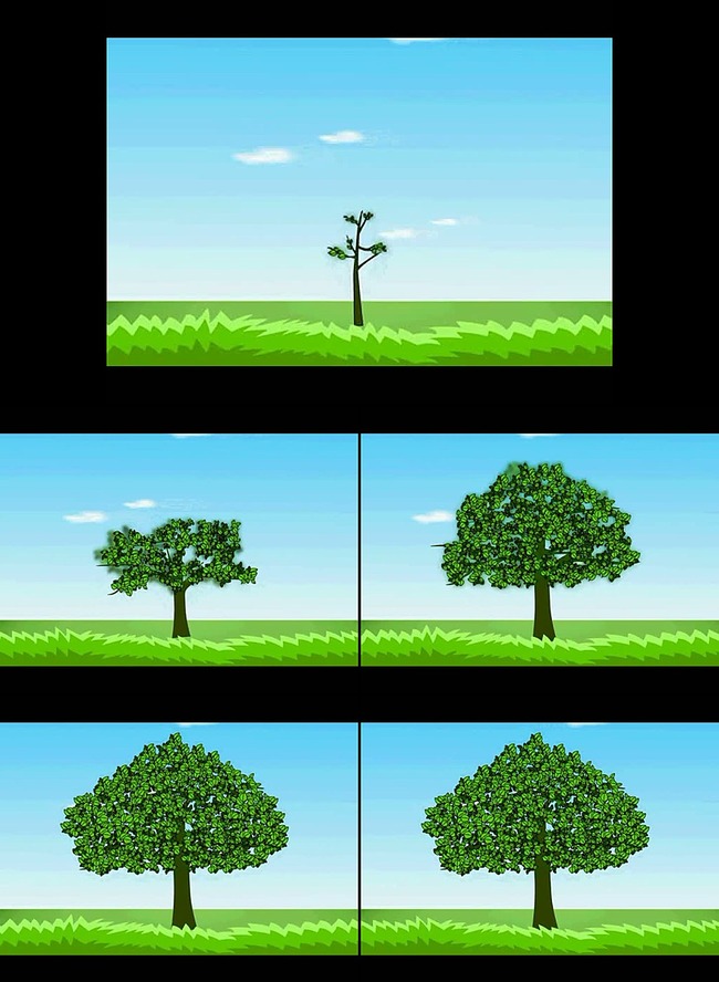 小树的生长过程100字