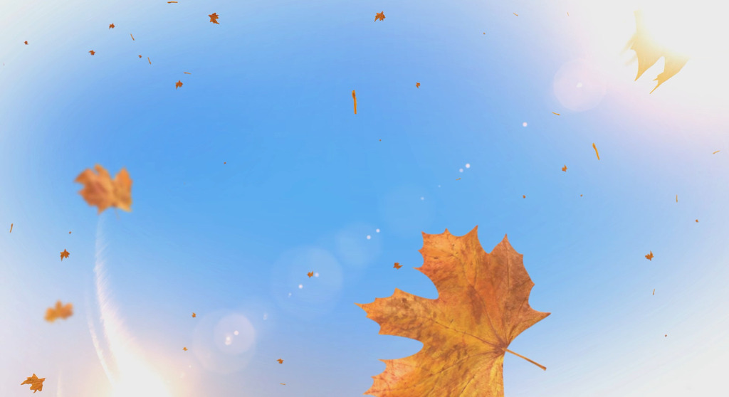 风吹落叶高清模板下载(图片编号:11734684)_动态|特效|背景视频素材_视频素材|AE模版|片头片尾_我图网weili.ooopic.com