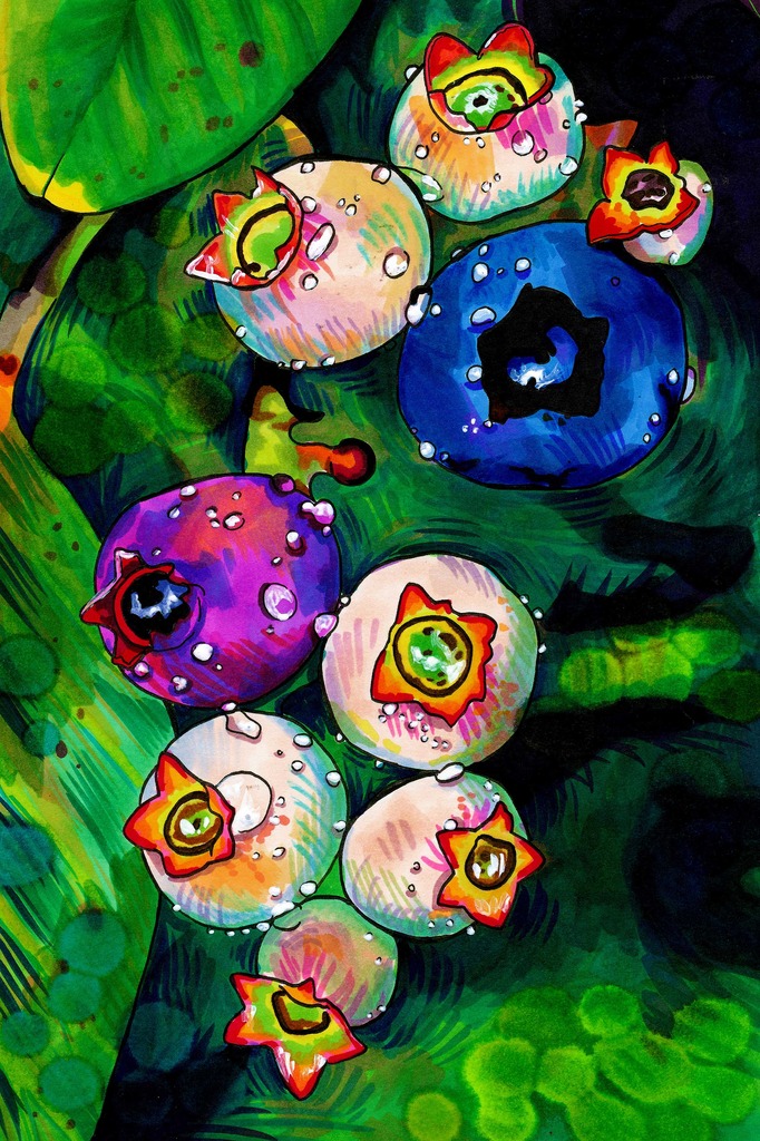 高清水彩手绘花朵花卉装饰画模板下载(图片编号:11744940)_装饰画_室内装饰|无框画|背景墙_我图网weili.ooopic.com