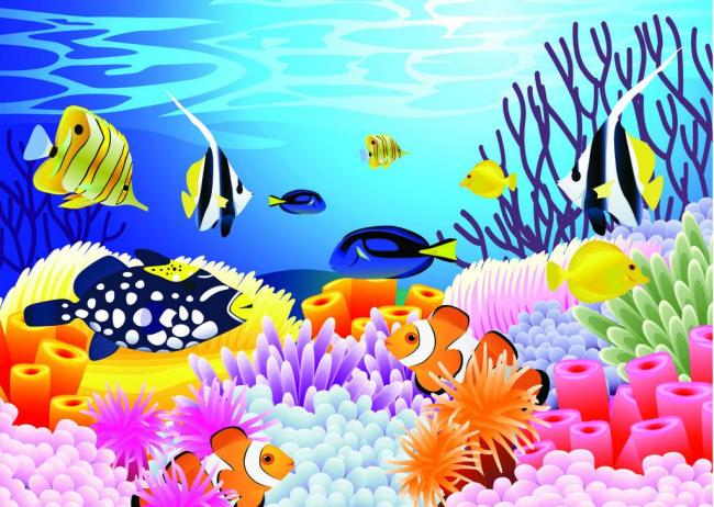 海洋生物图片模板下载(图片编号:11771152)__