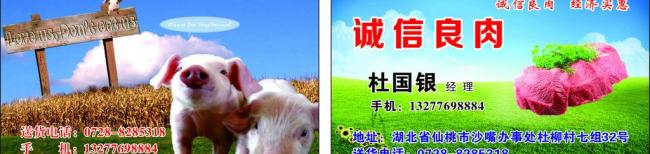 猪肉名片图片