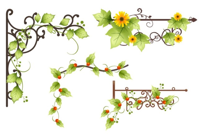 花藤模板下载(图片编号:11788780)__花纹|花边