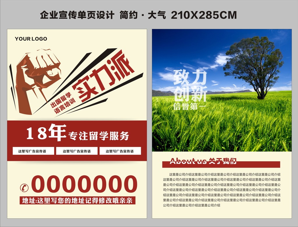 简约企业品牌宣传单页模板下载(图片编号:117